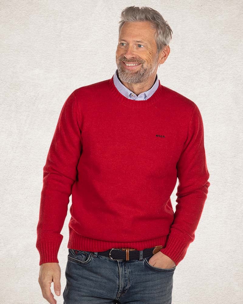 Jersey liso con cuello redondo en lana - Carmine red