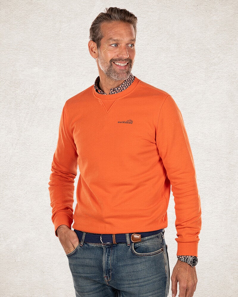 Oranje sweater met ronde hals - Ginger Orange Oranje sweater met ronde hals - Ginger Orange