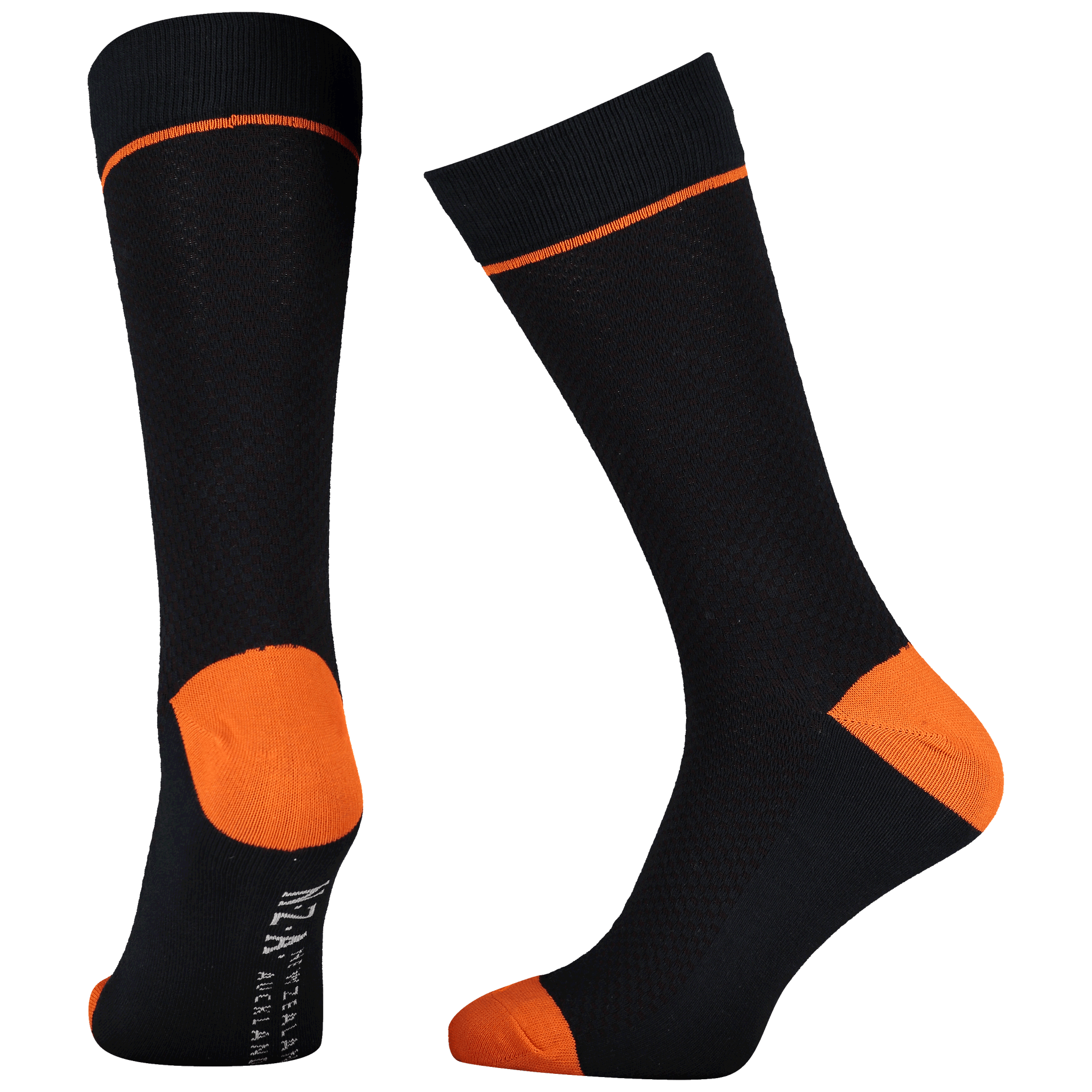 Pauatahanui Pauatahanui