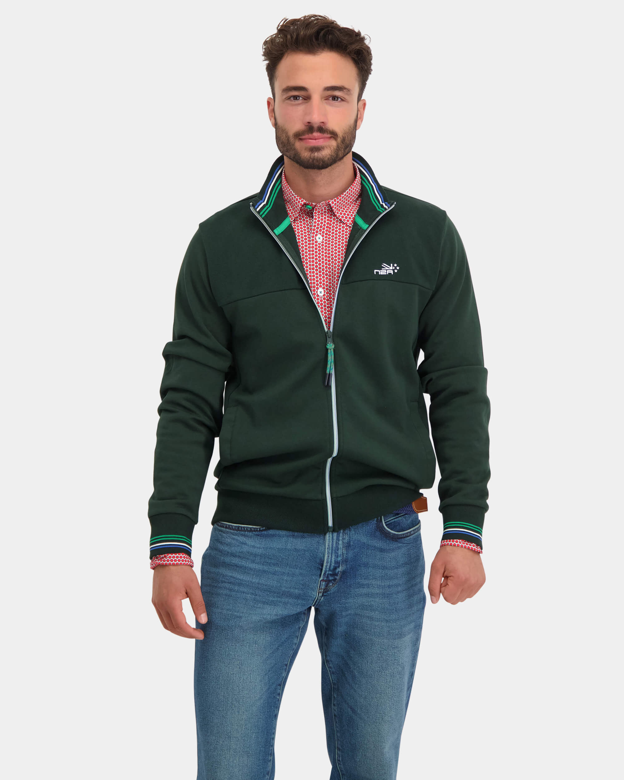 Kihikihi - Bay Leaf Green Kihikihi - Bay Leaf Green